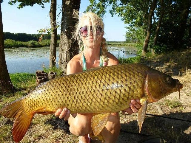 talent si frumusete - 559004399643766800074262578137n.jpg